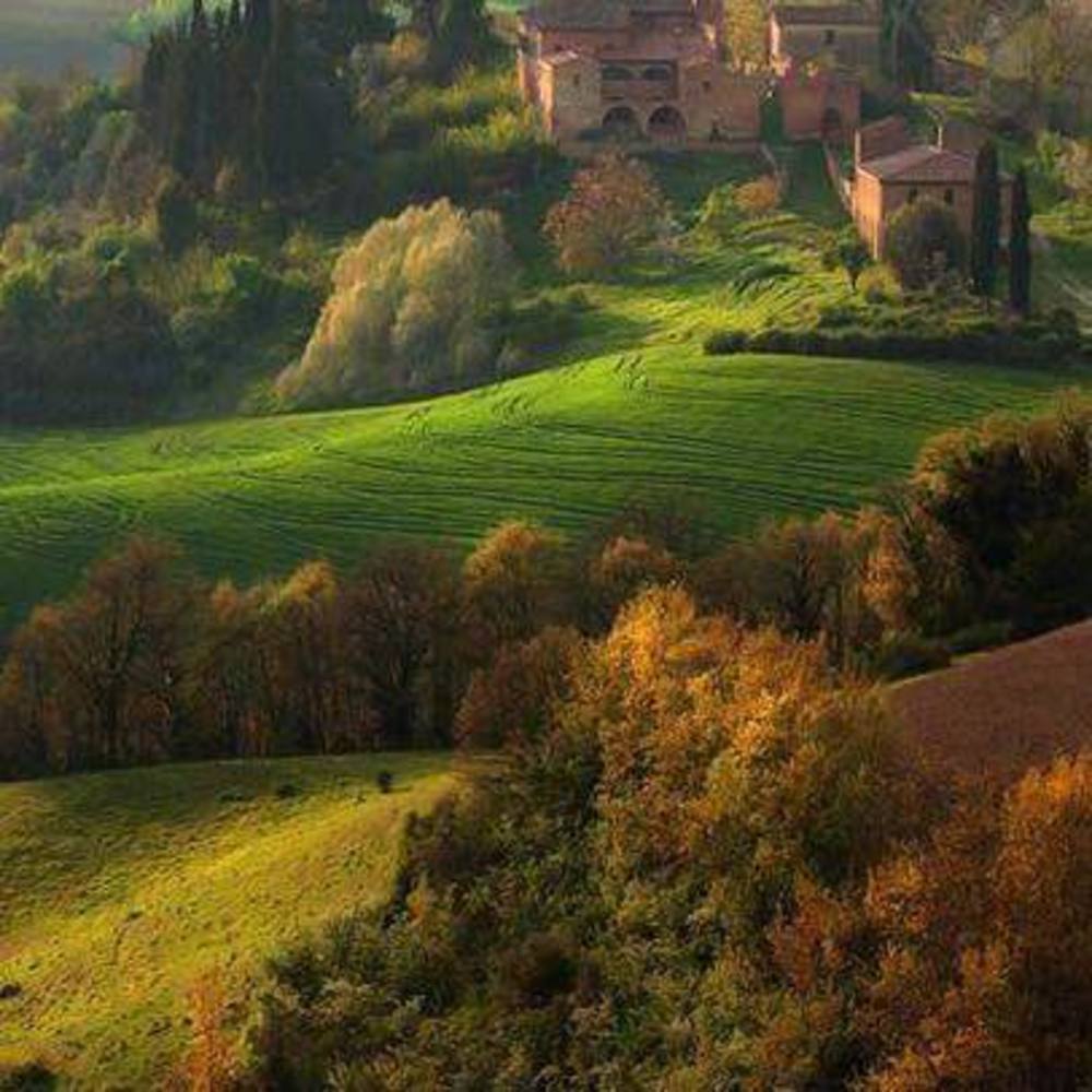 Meet your Posher, Joni